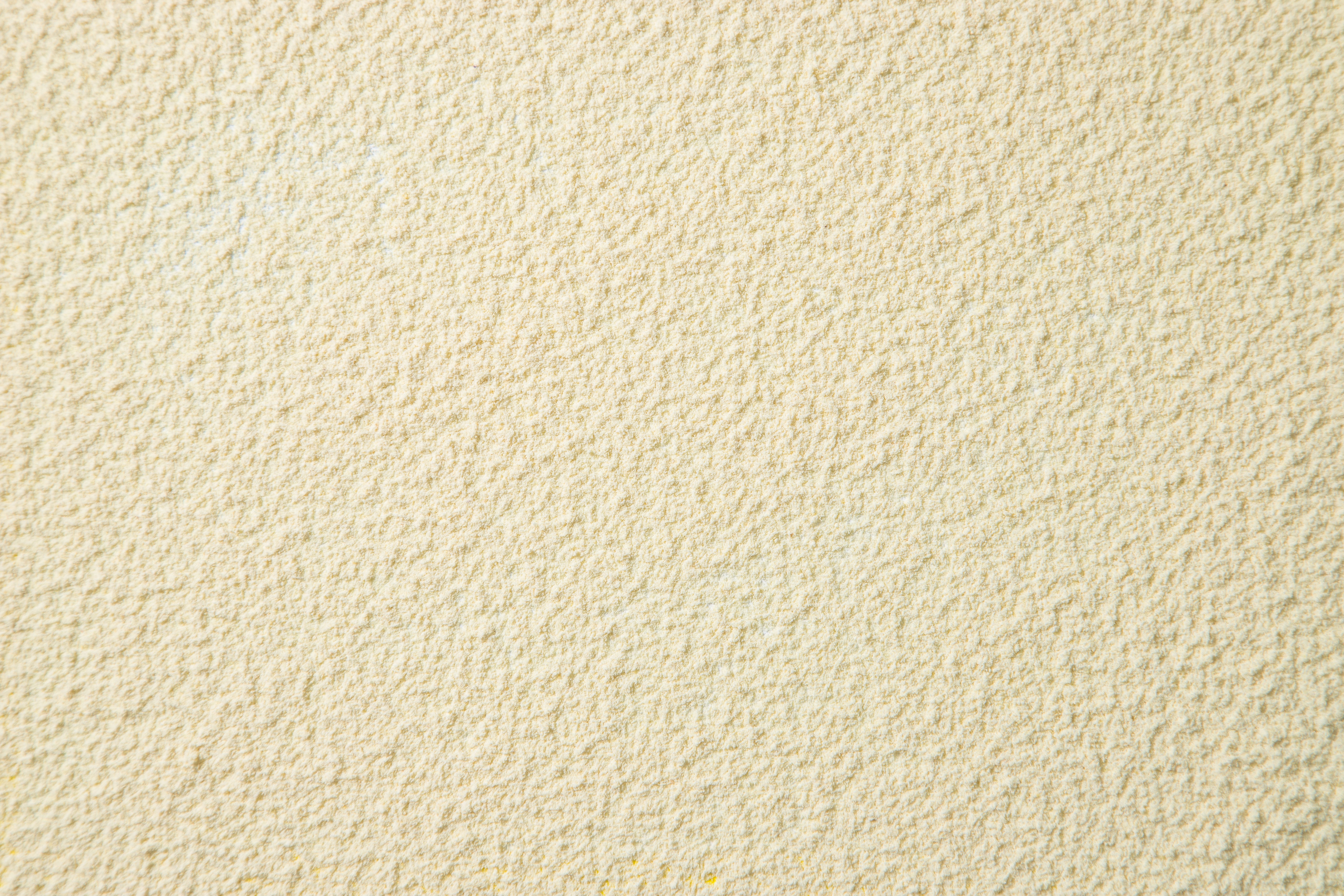 Proteína Concentrada de Pulses